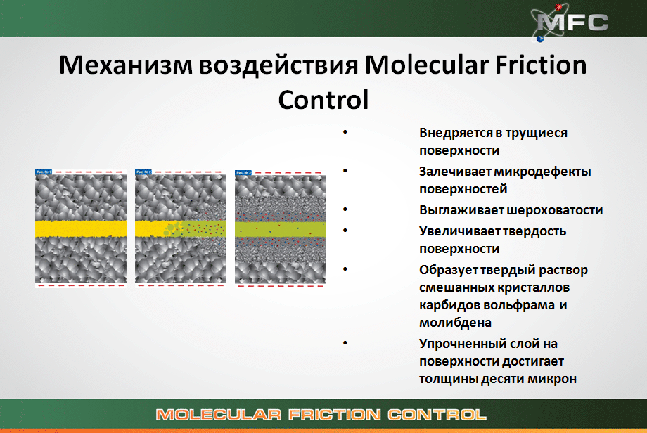moligen3.gif moligen3.gif